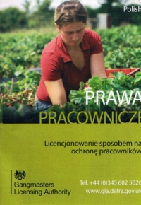 poradnik praca gb